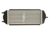 Впускний охолоджувач повітря THERMOTEC DA05006TT (фото 2)