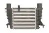 Інтеркулер THERMOTEC DA1003TT (фото 2)