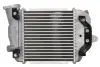Впускний охолоджувач повітря THERMOTEC DA3005TT (фото 2)