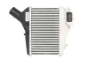 Впускний охолоджувач повітря THERMOTEC DA4004TT (фото 1)