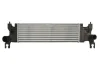 Впускний охолоджувач повітря THERMOTEC DA8002TT (фото 1)