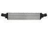 Впускний охолоджувач повітря THERMOTEC DAA032TT (фото 1)