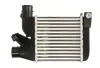 Впускний охолоджувач повітря THERMOTEC DAB021TT (фото 1)