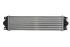 Впускний охолоджувач повітря THERMOTEC DAR002TT (фото 2)