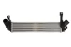 Впускний охолоджувач повітря THERMOTEC DAR023TT (фото 1)