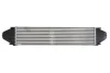 Інтеркулер THERMOTEC DAV007TT (фото 2)