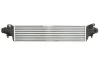 Впускний охолоджувач повітря THERMOTEC DAX038TT (фото 1)