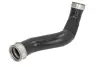 Шланг повітряного охолодження THERMOTEC DCM081TT (фото 1)