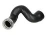 Шланг повітряного охолодження THERMOTEC DCW094TT (фото 1)
