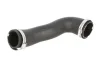 Шланг інтеркулера Лів (Впускна сторона) SEAT IBIZA IV, IBIZA IV SC, IBIZA IV/HATCHBACK VW POLO V 1.6D 05.09-08.15 THERMOTEC DCW157TT (фото 1)