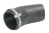 Шланг повітряного охолодження THERMOTEC DCW313TT (фото 1)