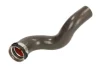 Шланг повітряного охолодження THERMOTEC DCX136TT (фото 1)