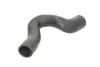 Гумовий шланг системи охолодження THERMOTEC DWW025TT (фото 1)