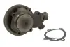 Насос охолоджуючої рідини THERMOTEC WPCA111 (фото 1)