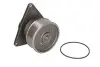 Насос охолоджуючої рідини CUMMINS 6C ISC, AGCO R42, R62 CASE IH 1660, 210, 230, 220, 240, 255, 270, 285 JOHN DEERE 753G, 753GL MASSEY FERGUSON 9240 WHITE 8510, 8610, 8710, 8810 THERMOTEC WPCM102 (фото 4)