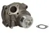 Насос охолоджуючої рідини, CASE IH 55, 60, 70, 100, 65, 75, 85 FIAT 55-46, 55-46 DT, F 110, F 115, F 120, F 130, F 140 NEW HOLLAND TN 55, TN 65, TN 75, 55.46, 55.46 DT THERMOTEC WPFO104 (фото 1)