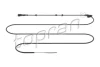 Джгут дротів (2500мм, кількість контактів: 2, із штекером) AUDI A3 SEAT LEON, TOLEDO II SKODA OCTAVIA I, OCTAVIA I/KOMBI, OCTAVIA II VW BORA, BORA I, GOLF IV, NEW BEETLE 1.2-3.2 09.96-12.13 TOPRAN / HANS PRIES 120862 (фото 1)
