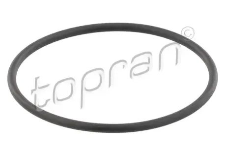 Прокладка-кільце термостата Opel Omega A/B/Vectra A 1.8 88- TOPRAN / HANS PRIES 202327