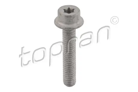 Болт металев TOPRAN / HANS PRIES 411097