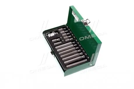 Набір біт 10мм TORX 15од. (TOPTUL) Toptul GAAD1506