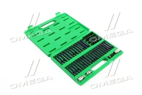 Набір біт TORX, HEX, SPLINE, RIBE, SQ 60од. TOPTUL (TOPTUL) Toptul GCAI6003
