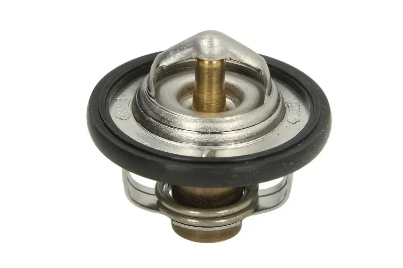 Термостат TOURMAX TMT301 (фото 1)