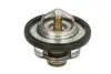 Термостат TOURMAX TMT301 (фото 1)