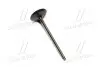 Клапан впускний Toyota Land Cruiser 12- Tundra Hilux (вир-во Toyota) TOYOTA/LEXUS 13711-31071 (фото 1)