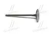 Клапан впускний Toyota Land Cruiser 12- RAV4 Camry Lexus (вир-во Toyota) TOYOTA/LEXUS 13711-31101 (фото 3)