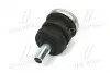 Подушка кріплення кузова (52201-60090) TOYOTA TOYOTA/LEXUS 5220160090 (фото 2)