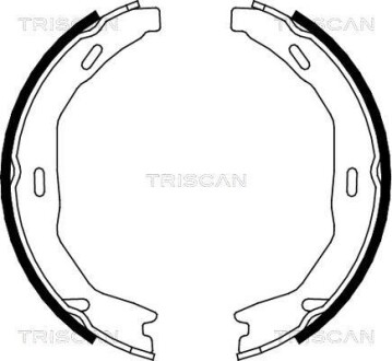 Комплект гальмівних колодок, Стоянкове гальмо TRISCAN 810023029