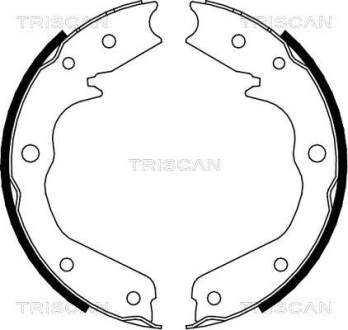 Комплект гальмівних колодок, Стоянкове гальмо TRISCAN 810024002