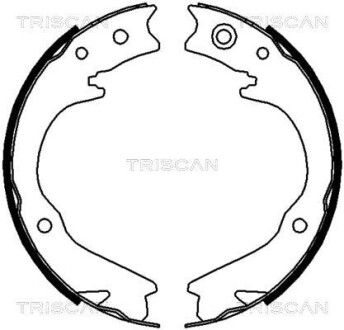 Комплект гальмівних колодок, Стоянкове гальмо TRISCAN 810068003 (фото 1)