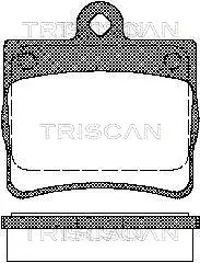 Колодки гальмівні задні TRISCAN 811023016 (фото 1)