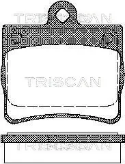 Колодки гальмівні задні TRISCAN 811023016