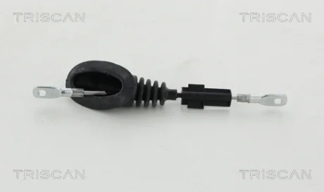 Деталь автомобиля. TRISCAN 8140291173