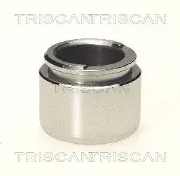 Поршень TRISCAN 8170233803 (фото 1)