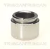 Поршень TRISCAN 8170233803 (фото 1)