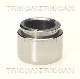 Поршень TRISCAN 8170233803
