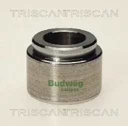 Поршень TRISCAN 8170234003 (фото 1)