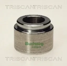 Поршень TRISCAN 8170234003