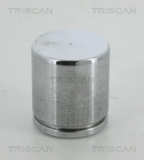 Поршень TRISCAN 8170234613