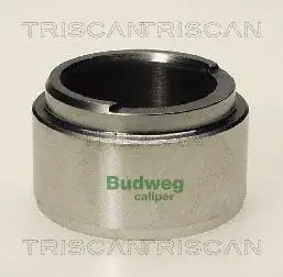 Поршень TRISCAN 8170234803 (фото 1)