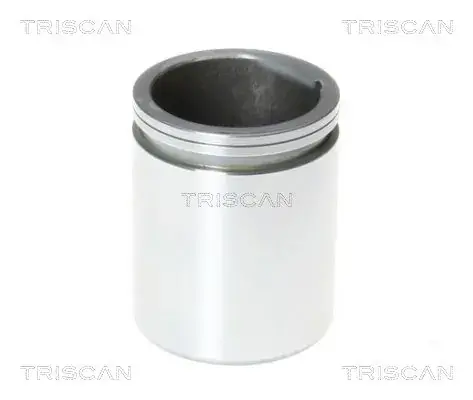 Поршень TRISCAN 8170234866 (фото 1)