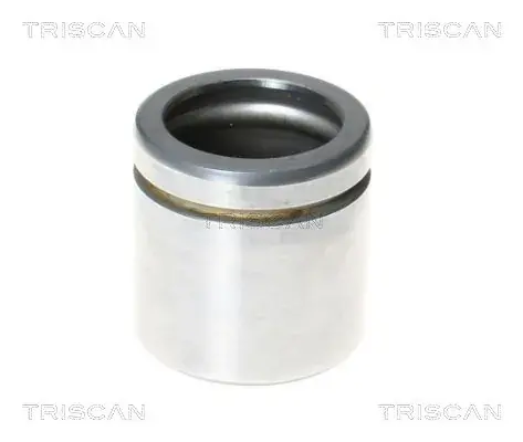 Поршень TRISCAN 8170235478 (фото 1)