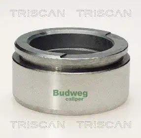 Поршень TRISCAN 8170236002 (фото 1)