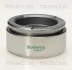 Поршень TRISCAN 8170236002 (фото 1)