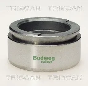 Поршень TRISCAN 8170236002