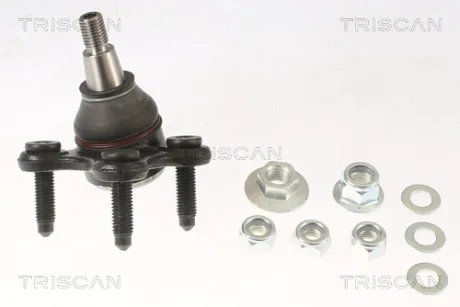 Шарнир TRISCAN 8500295002