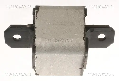 DB Подушка КПП/АКПП Sprinter 06-, Vito 03-, VW Crafter 06- TRISCAN 850510120 (фото 1)